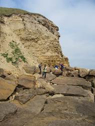 Osgodby Point: the Millepore Bed forms the scar in the foreground and the cliff behind exposes the Gristhorpe Member, the higher part showing well-marked cross bedding.  Photograph: Dot Needham.