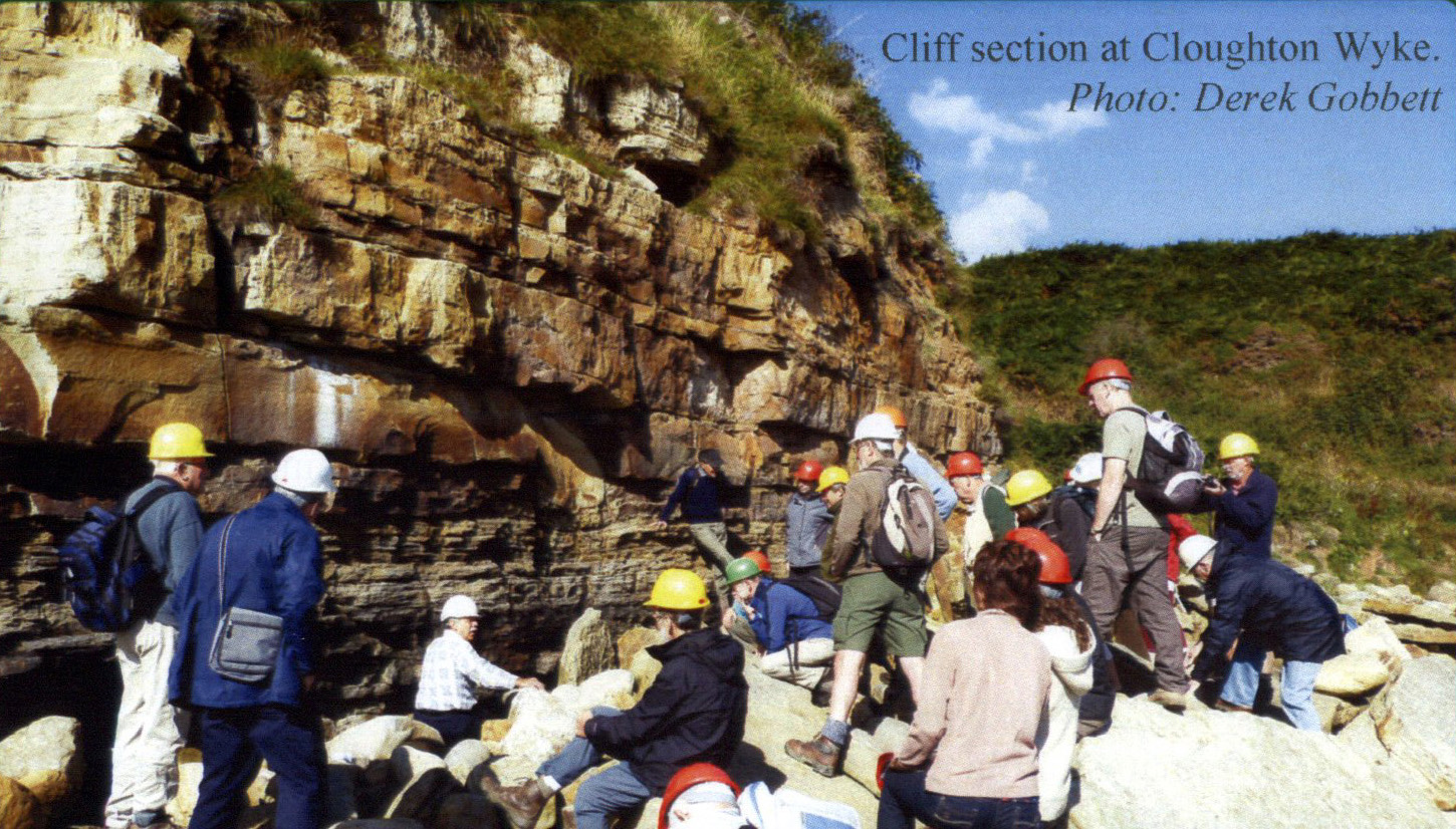 Cliff section at Cloughton Wyke. Photograph: Derek Gobbett