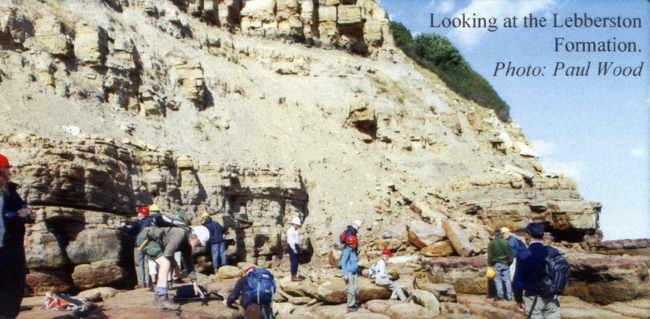 Looking at the Lebberston Formation.<br> Photograph: Paul Wood