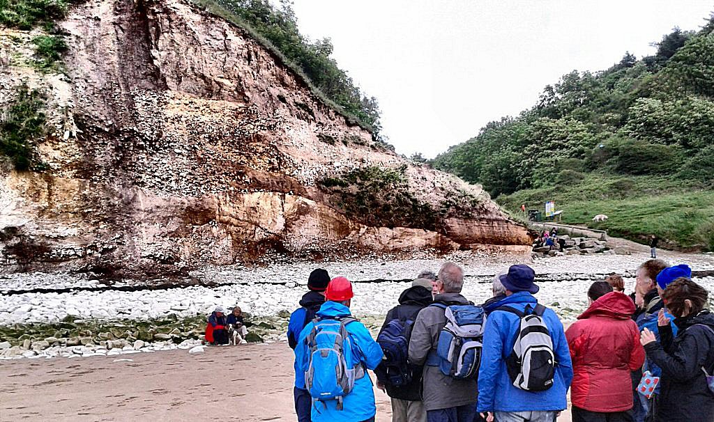 A group visit a 'fossil valley', filled with periglacial deposits, at Danes Dyke, near Sewerby.