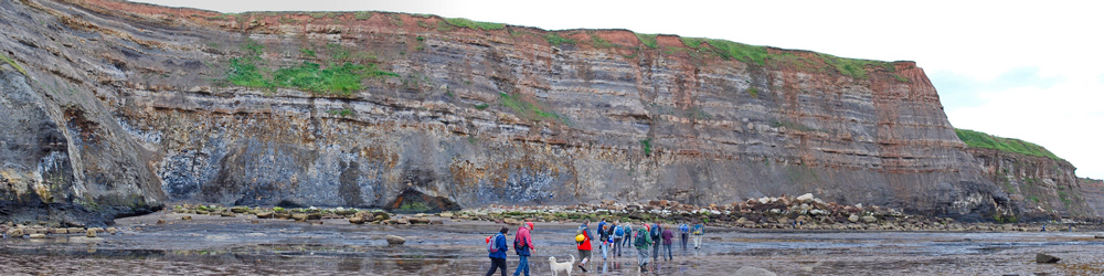 Field excursion to Saltwick showing the cliffs with the group in the foreground. 5 July 2015.  Photograph: Paul Wood
